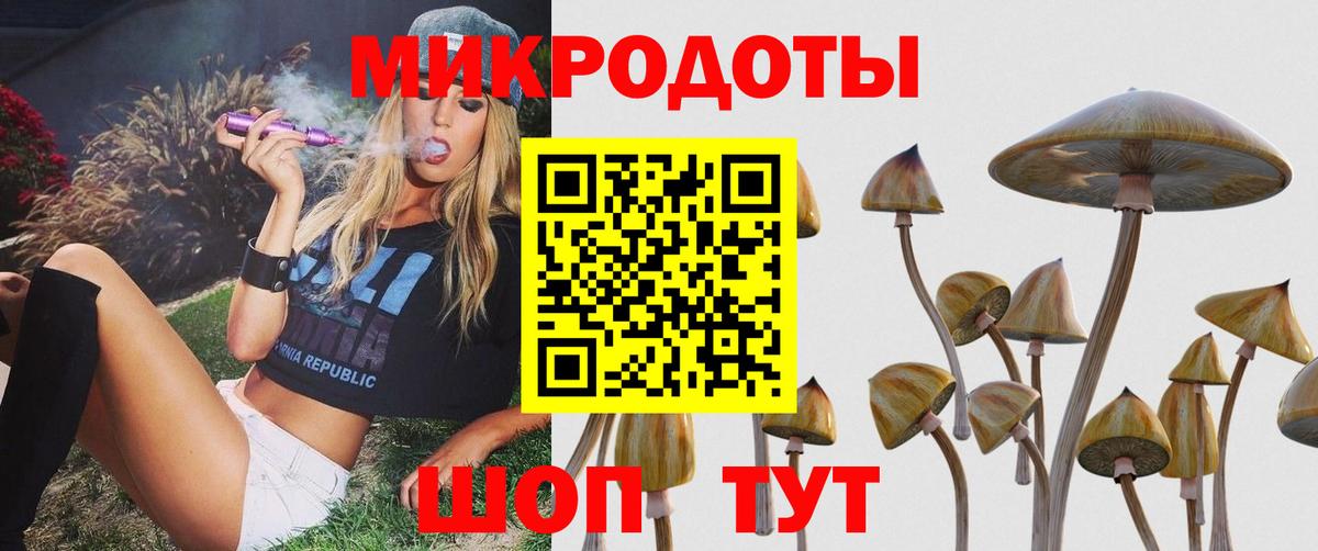 Галлюциногенные грибы Psilocybine cubensis Наро-Фоминск